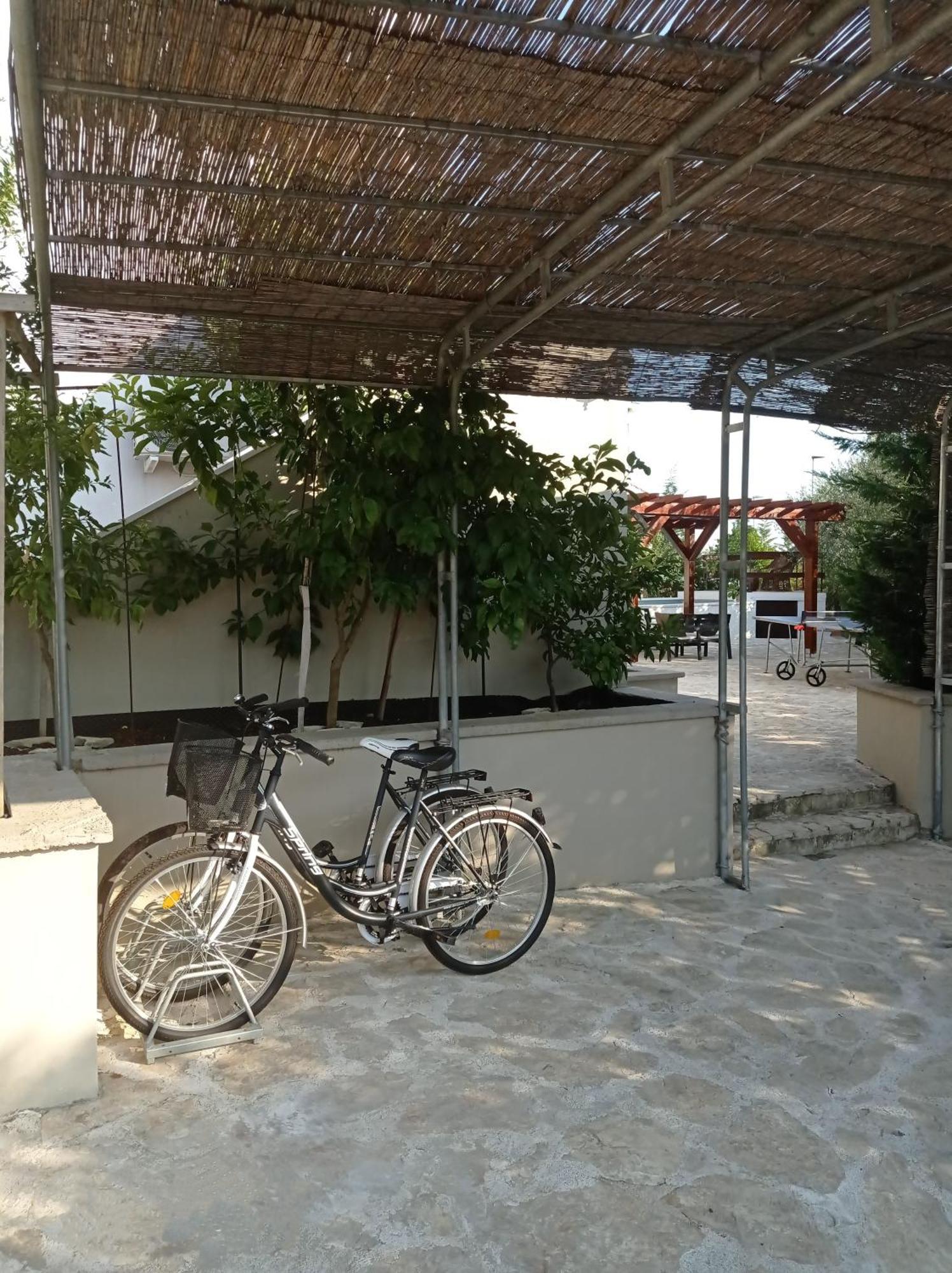 Villa Niko With Private Swimming Pool Zadar Zewnętrze zdjęcie